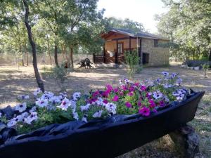 Zahrada ubytování Cabañas Vallecino