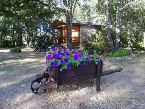 Zahrada ubytování Cabañas Vallecino