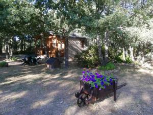 Zahrada ubytování Cabañas Vallecino
