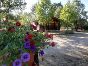 Zahrada ubytování Cabañas Vallecino