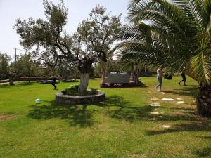eine Gruppe von Menschen, die Fußball in einem Park mit einem Baum spielen in der Unterkunft Saint George Sithonia in Neos Marmaras