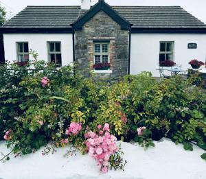 Ein Haus mit einem Haufen Blumen im Schnee in der Unterkunft The Old Cottage in Doolin