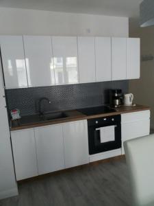 Kuchyň nebo kuchyňský kout v ubytování Apartament Thomas