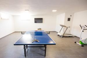 Stolný tenis v ubytovaní VILLA HORIZONT alebo v jeho okolí