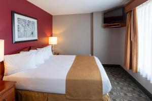 a hotel room with a large bed and a window at GrandStay Hotel & Suites Ames in Ames +24 photos