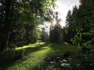 Photo de la galerie de l'établissement Wedgwood Manor and Glamping Retreat, à Crawford Bay 37 autres photos