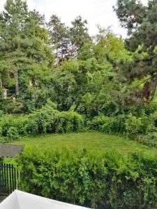 Zahrada ubytování Vila Eden Palić