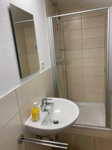 uma casa de banho com um lavatório, um chuveiro e um espelho. em Ferienhaus Lilo em Braunlage