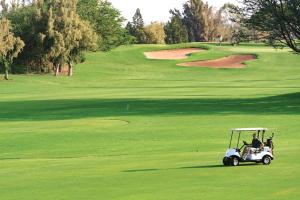 um carrinho de golfe a conduzir num campo de golfe verde em Paniolo Greens Resort em Waikoloa