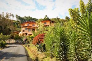 a house on a hill next to a road at Aparthotel Los Pinos in Boquete