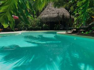 a swimming pool in front of a hut with blue water at Hotel El Pequeño Gecko Verde in Sámara