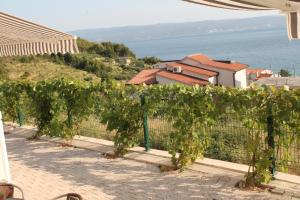 Foto dalla galleria di Knezovic Apartments a Podstrana