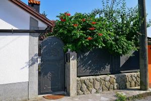 Fotografie z fotogalerie ubytování Apartment Ivone - 5 STARS v destinaci Matulji