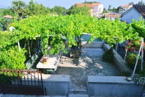 Zahrada ubytování Apartment Ivone - 5 STARS