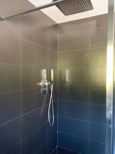 baño con ducha con manguera en GITES SAINT ROMARY, en Saint-Étienne-lès-Remiremont