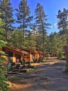 a row of cottages in the woods with trees at Pine Haven Resort in Estes Park