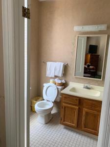 a bathroom with a toilet and a sink and a mirror at Original Springs Hotel in Okawville