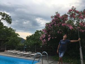 Bazén v ubytovaní Residence Bichler alebo v jeho blízkosti