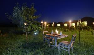 Barahi Jungle Lodge tesisinin dışında bir bahçe