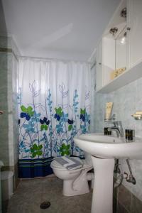 La salle de bains est pourvue d'un lavabo, de toilettes et d'un rideau de douche. dans l'établissement Hill of Calm, à Triopetra