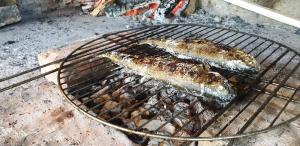 three fish are cooking on a barbecue grill at Auto Kamp Lav in Kulen Vakuf +71 photos
