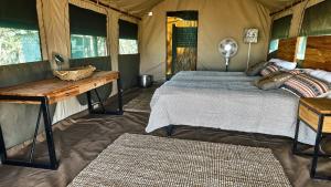 a bedroom with a bed and a desk and windows at ZuriCamp - Tent Amani in Tsumeb