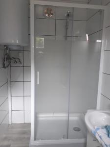 baño blanco con ducha y lavamanos en Domek u Franka, en Smołdzino