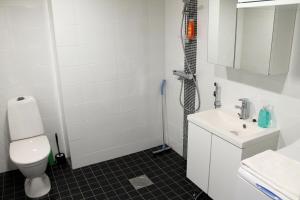 a bathroom with a shower and a toilet and a sink at Kotimaailma Apartments Joensuu - Koskikatu 11 in Joensuu