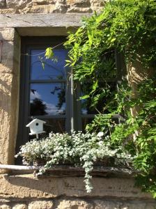 uma janela com uma caixa de flores e um pássaro em Petite maison d'Amelotte em Sainte-Cécile