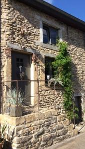 Sainte-CécileにあるPetite maison d'Amelotteの窓と植物のある石造りの家