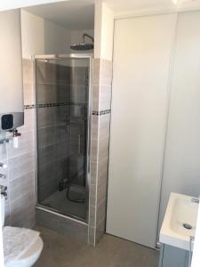 La salle de bains est pourvue d'une douche, de toilettes et d'un lavabo. dans l'établissement BEAU STUDIO CLIMATISE Rive Gauche, à Palavas-les-Flots