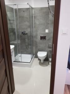 a bathroom with a shower and a toilet at Apartament Nad Łomnicą in Karpacz