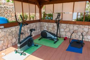 a gym with two exercise bikes and a wall at Villa Hera Sevid in Sevid