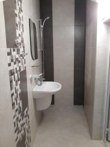 a small bathroom with a sink and a shower at Topalovi Guest House in Chernomorets