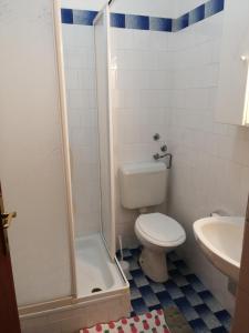 a bathroom with a toilet and a shower and a sink at Bed & Breakfast Banjole in Banjole