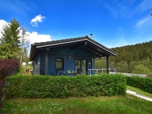 a blue tiny house in the middle of a yard at holiday home in G ntersberge Harz with wood stove in Harzgerode