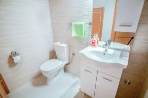a white bathroom with a toilet and a sink at Luxury House Petrovic - Vranjina Skadar Lake in Podgorica +14 photos