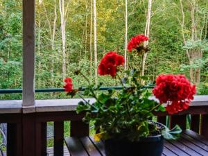 a pot of red flowers on a porch with a window at Holiday Home Merimetso 6 by Interhome in Strandby