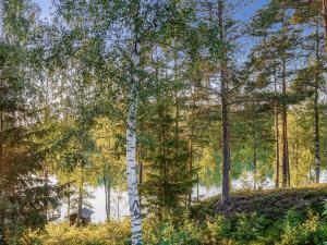 a birch tree in the middle of a forest at Holiday Home Punasotka 2 by Interhome in Strandby