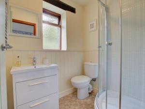 LlanerchymeddにあるHoliday Home Llanerchymedd-3 by Interhomeのバスルーム(トイレ、ガラス張りのシャワー付)