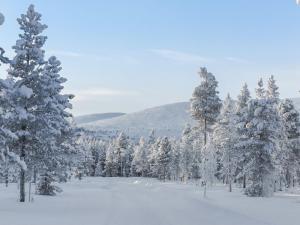 a snow covered forest with snow covered trees at Holiday Home Pallaskieppi by Interhome in Kyrö