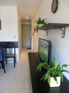ein Wohnzimmer mit einem TV und einer Pflanze auf dem Tisch in der Unterkunft Appartement Carnon Plage in Carnon-Plage