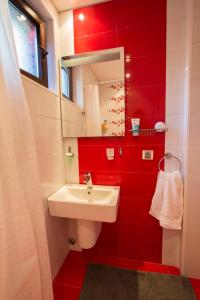 Baño rojo con lavabo y espejo en Modern Apartment in the Heart of Vidin, en Vidin