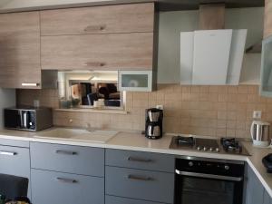 Kuchyň nebo kuchyňský kout v ubytování Mislav Apartment