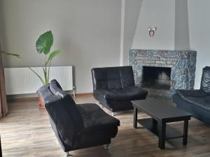 a living room with two chairs and a fireplace at Villa Bakuriani in Bakuriani