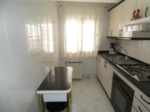 Kuchnia lub aneks kuchenny w obiekcie APARTAMENTOS DAYMA