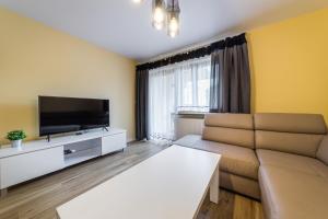 Televízia a/alebo spoločenská miestnosť v ubytovaní Apartament Rakowicka 14 Deluxe Old Town WAWELOFTS