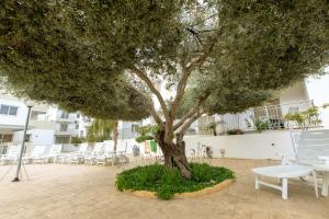 a tree in a courtyard with chairs and tables at Oceania Bay Village in Pyla