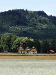 a group of houses in front of a mountain at Domki pod Derkaczem in Radków