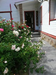 dom z kwiatami przed drzwiami w obiekcie Liiva Guest Accommodation w mieście Tartu